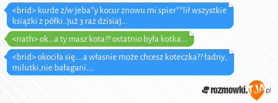 <brid> kurde z/w jeba*y kocur znowu mi spier**lił wszystkie książki z półki..już 3 raz dzisiaj...<br><nath> ok...a ty masz kota?? ostatnio była kotka...<br><brid> okociła się....a własnie może chcesz koteczka?? ładny, milutki,nie bałagani....