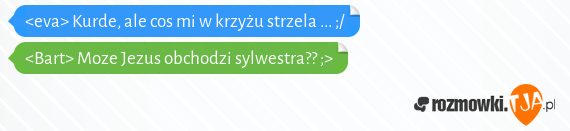 <eva> Kurde, ale cos mi w krzyżu strzela ... ;/<br><Bart> Moze Jezus obchodzi sylwestra?? ;> 