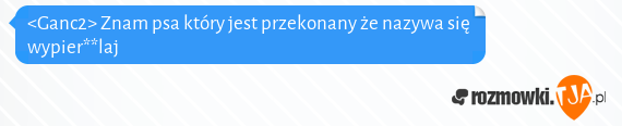 <Ganc2> Znam psa który jest przekonany że nazywa się wypier**laj