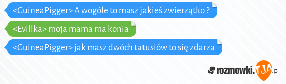 <GuineaPigger> A wogóle to masz jakieś zwierzątko ?<br><Evillka> moja mama ma konia<br><GuineaPigger> jak masz dwóch tatusiów to się zdarza