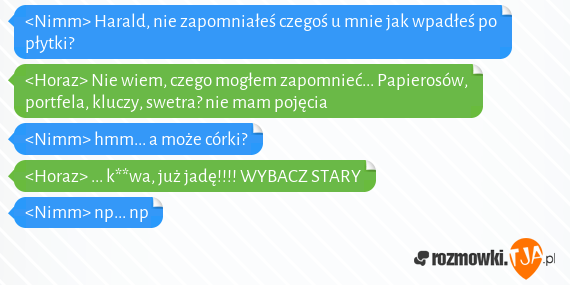 <Nimm> Harald, nie zapomniałeś czegoś u mnie jak wpadłeś po płytki?<br><Horaz> Nie wiem, czego mogłem zapomnieć... Papierosów, portfela, kluczy, swetra? nie mam pojęcia<br><Nimm> hmm... a może córki?<br><Horaz> ... k**wa, już jadę!!!! WYBACZ STARY<br><Nimm> np... np