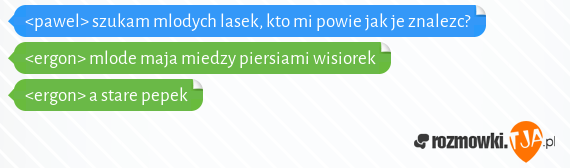 <pawel> szukam mlodych lasek, kto mi powie jak je znalezc?<br><ergon> mlode maja miedzy piersiami wisiorek<br><ergon> a stare pepek