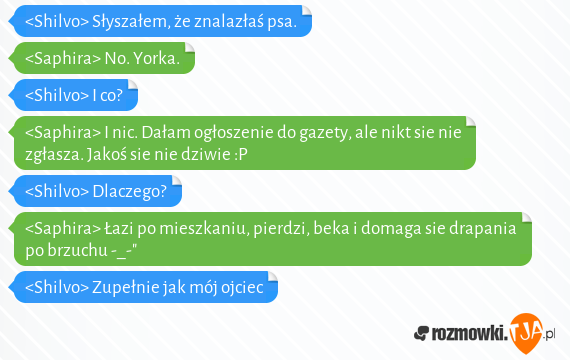 <Shilvo> Słyszałem, że znalazłaś psa.<br><Saphira> No. Yorka.<br><Shilvo> I co?<br><Saphira> I nic. Dałam ogłoszenie do gazety, ale nikt sie nie zgłasza. Jakoś sie nie dziwie :P<br><Shilvo> Dlaczego?<br><Saphira> Łazi po mieszkaniu, pierdzi, beka i domaga sie drapania po brzuchu -_-"<br><Shilvo> Zupełnie jak mój ojciec